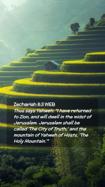 Picture 02 - Zechariah 8:3 WEB Mobile Phone Wallpaper - Thus says Yahweh: 