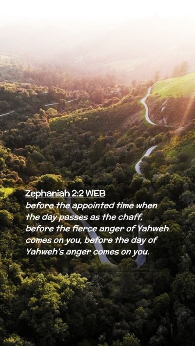 Picture 02 - Zephaniah 2:2 WEB Mobile Phone Wallpaper - before the appointed time when the day passes as - Mobile Bible Verse Wallpaper