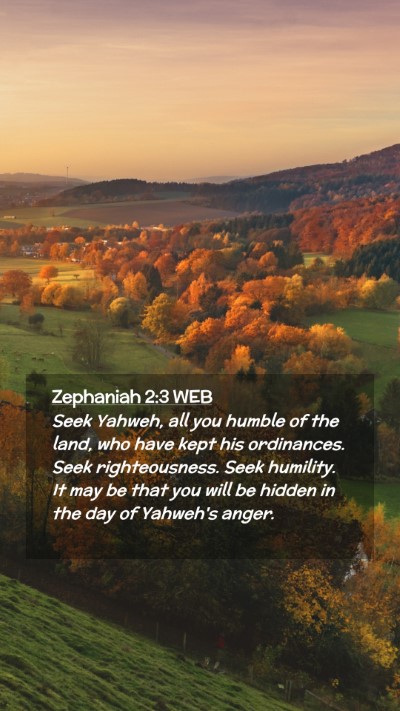 Picture 02 - Zephaniah 2:3 WEB Mobile Phone Wallpaper - Seek Yahweh, all you humble of the land, who have - Mobile Bible Verse Wallpaper