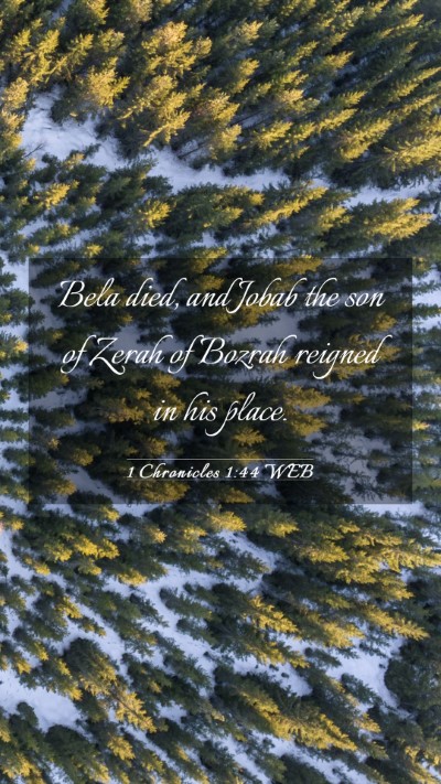 Picture 03 - 1 Chronicles 1:44 WEB Mobile Phone Wallpaper - Bela died, and Jobab the son of Zerah of Bozrah - Mobile Bible Verse Wallpaper