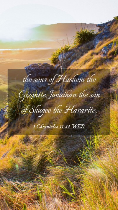 Picture 03 - 1 Chronicles 11:34 WEB Mobile Phone Wallpaper - the sons of Hashem the Gizonite, Jonathan the son - Mobile Bible Verse Wallpaper