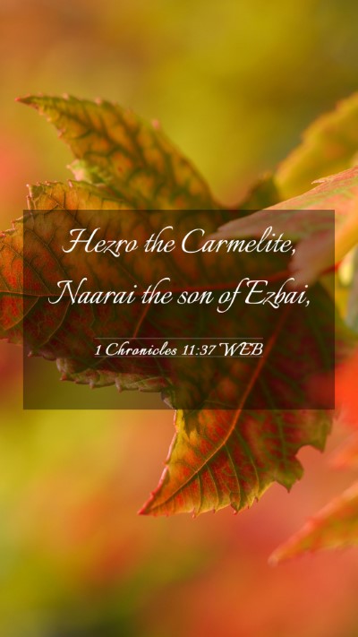 Picture 03 - 1 Chronicles 11:37 WEB Mobile Phone Wallpaper - Hezro the Carmelite, Naarai the son of - Mobile Bible Verse Wallpaper