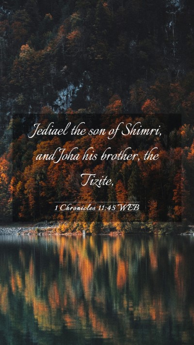 Picture 03 - 1 Chronicles 11:45 WEB Mobile Phone Wallpaper - Jediael the son of Shimri, and Joha his brother, - Mobile Bible Verse Wallpaper