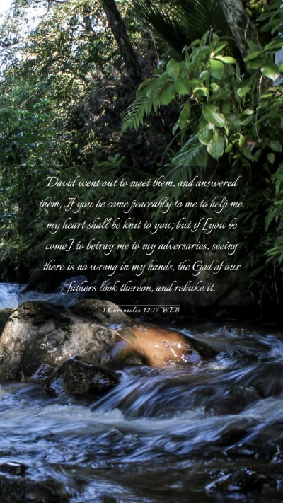 Picture 03 - 1 Chronicles 12:17 WEB Mobile Phone Wallpaper - David went out to meet them, and answered them, - Mobile Bible Verse Wallpaper