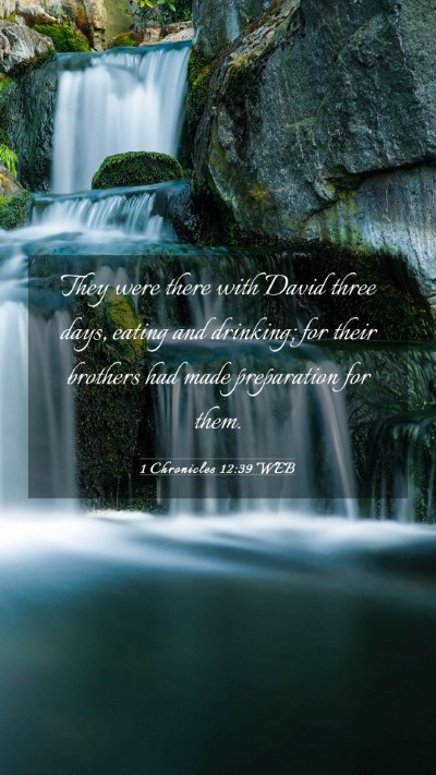 Picture 03 - 1 Chronicles 12:39 WEB Mobile Phone Wallpaper - They were there with David three days, eating and - Mobile Bible Verse Wallpaper