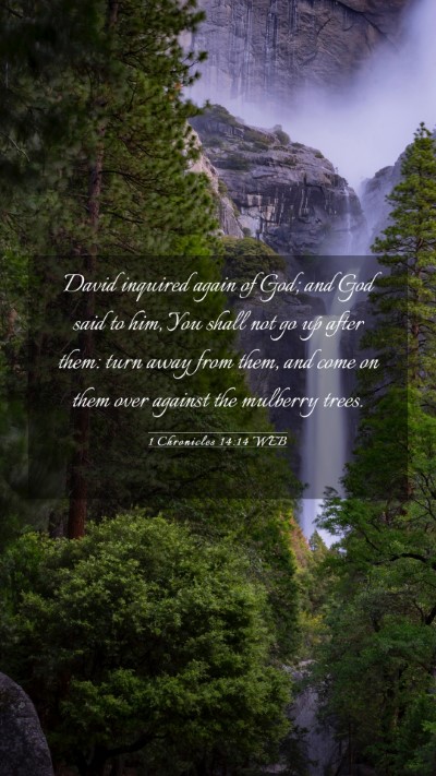 Picture 03 - 1 Chronicles 14:14 WEB Mobile Phone Wallpaper - David inquired again of God; and God said to him, - Mobile Bible Verse Wallpaper