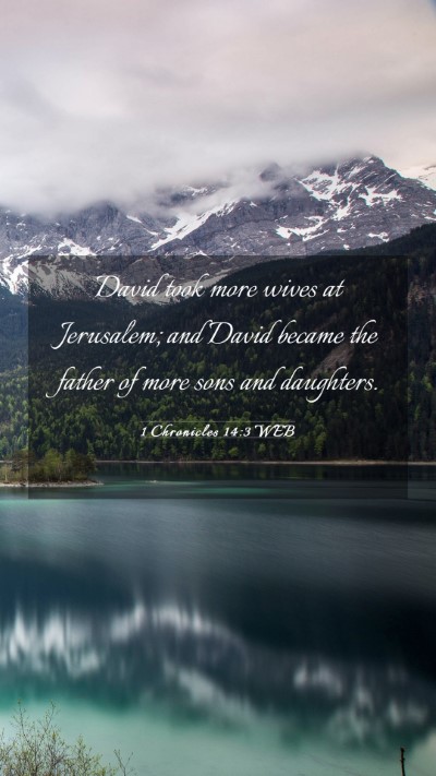 Picture 03 - 1 Chronicles 14:3 WEB Mobile Phone Wallpaper - David took more wives at Jerusalem; and David - Mobile Bible Verse Wallpaper