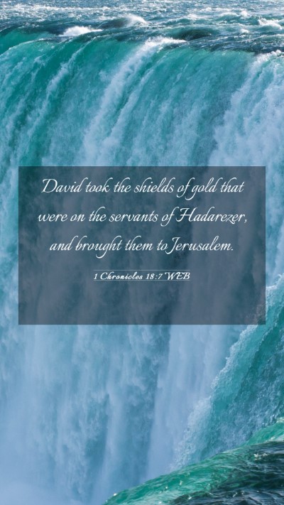 Picture 03 - 1 Chronicles 18:7 WEB Mobile Phone Wallpaper - David took the shields of gold that were on the - Mobile Bible Verse Wallpaper