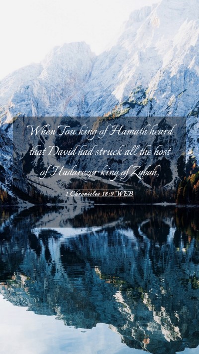 Picture 03 - 1 Chronicles 18:9 WEB Mobile Phone Wallpaper - When Tou king of Hamath heard that David had - Mobile Bible Verse Wallpaper