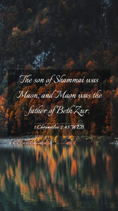 Picture 03 - 1 Chronicles 2:45 WEB Mobile Phone Wallpaper - The son of Shammai was Maon; and Maon was the - Mobile Bible Verse Wallpaper