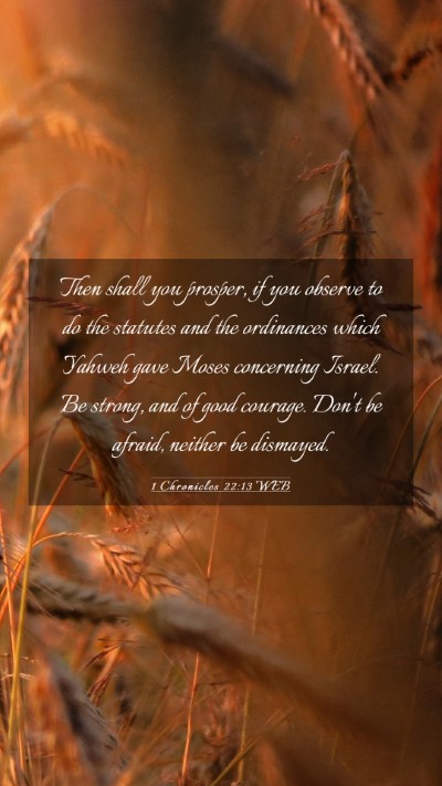 Picture 03 - 1 Chronicles 22:13 WEB Mobile Phone Wallpaper - Then shall you prosper, if you observe to do the - Mobile Bible Verse Wallpaper