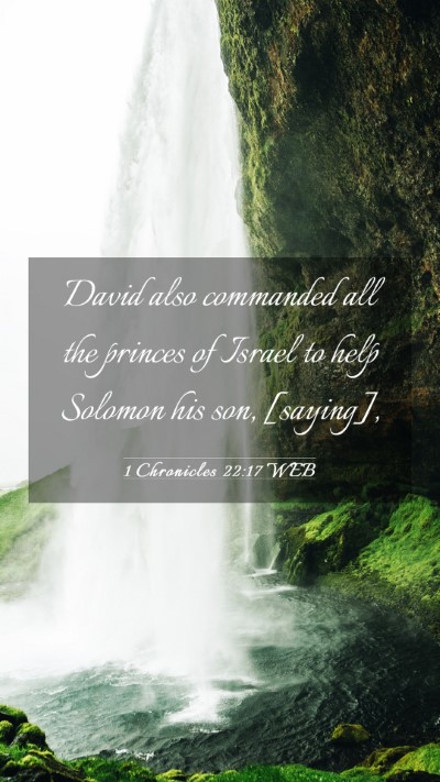 Picture 03 - 1 Chronicles 22:17 WEB Mobile Phone Wallpaper - David also commanded all the princes of Israel to - Mobile Bible Verse Wallpaper