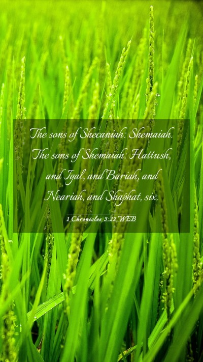 Picture 03 - 1 Chronicles 3:22 WEB Mobile Phone Wallpaper - The sons of Shecaniah: Shemaiah. The sons of - Mobile Bible Verse Wallpaper