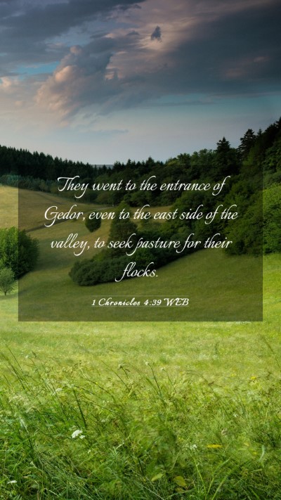 Picture 03 - 1 Chronicles 4:39 WEB Mobile Phone Wallpaper - They went to the entrance of Gedor, even to the - Mobile Bible Verse Wallpaper