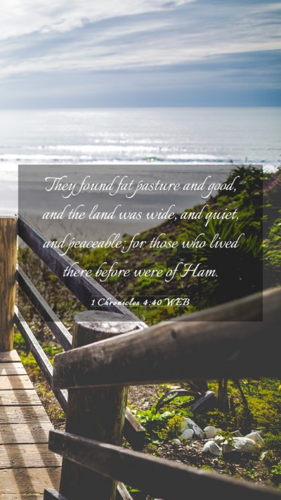 Picture 03 - 1 Chronicles 4:40 WEB Mobile Phone Wallpaper - They found fat pasture and good, and the land was - Mobile Bible Verse Wallpaper