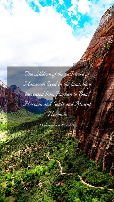 Picture 03 - 1 Chronicles 5:23 WEB Mobile Phone Wallpaper - The children of the half-tribe of Manasseh lived - Mobile Bible Verse Wallpaper