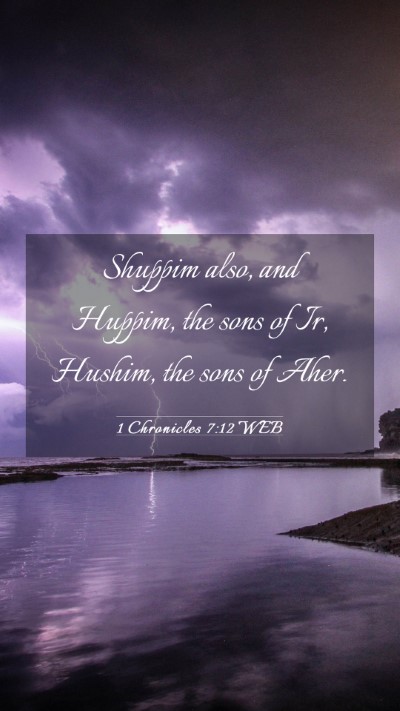 Picture 03 - 1 Chronicles 7:12 WEB Mobile Phone Wallpaper - Shuppim also, and Huppim, the sons of Ir, Hushim, - Mobile Bible Verse Wallpaper