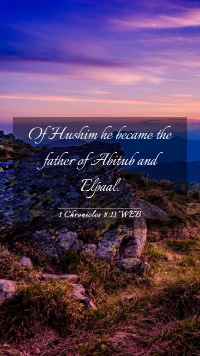 Picture 03 - 1 Chronicles 8:11 WEB Mobile Phone Wallpaper - Of Hushim he became the father of Abitub and - Mobile Bible Verse Wallpaper