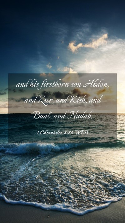 Picture 03 - 1 Chronicles 8:30 WEB Mobile Phone Wallpaper - and his firstborn son Abdon, and Zur, and Kish, - Mobile Bible Verse Wallpaper