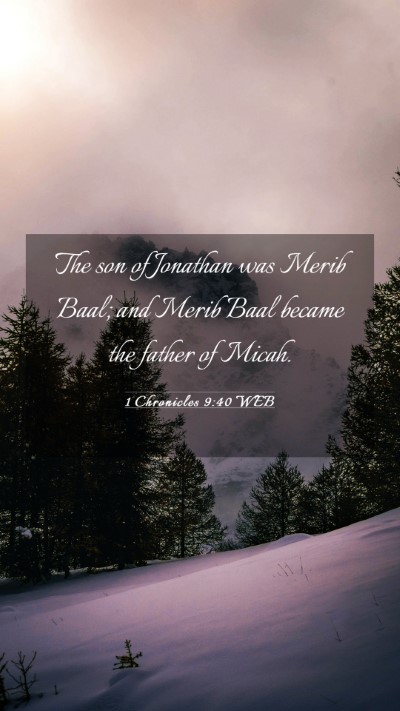 Picture 03 - 1 Chronicles 9:40 WEB Mobile Phone Wallpaper - The son of Jonathan was Merib Baal; and Merib - Mobile Bible Verse Wallpaper