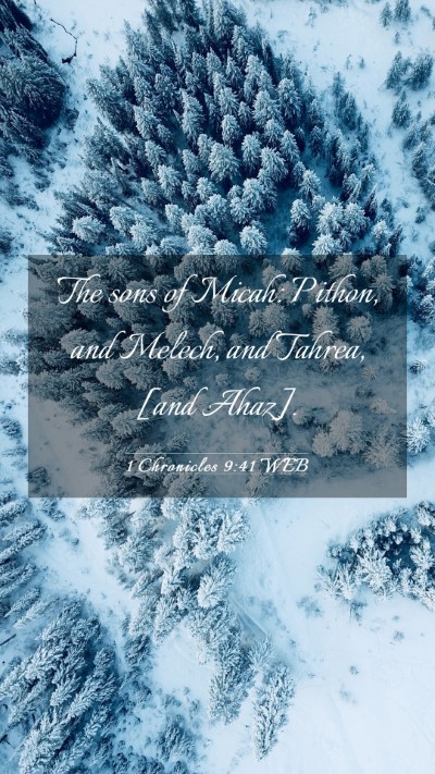 Picture 03 - 1 Chronicles 9:41 WEB Mobile Phone Wallpaper - The sons of Micah: Pithon, and Melech, and - Mobile Bible Verse Wallpaper