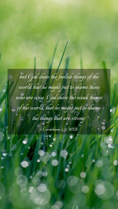 Picture 03 - 1 Corinthians 1:27 WEB Mobile Phone Wallpaper - but God chose the foolish things of the world - Mobile Bible Verse Wallpaper