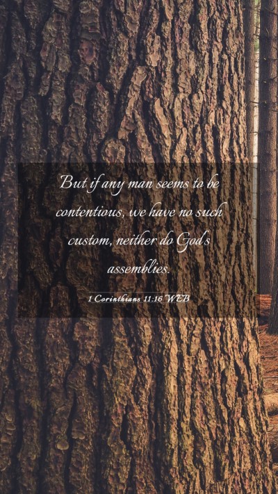 Picture 03 - 1 Corinthians 11:16 WEB Mobile Phone Wallpaper - But if any man seems to be contentious, we have - Mobile Bible Verse Wallpaper
