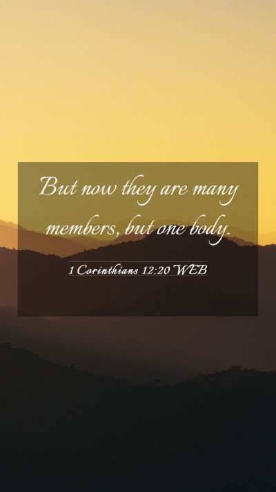 Picture 03 - 1 Corinthians 12:20 WEB Mobile Phone Wallpaper - But now they are many members, but one - Mobile Bible Verse Wallpaper