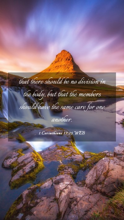 Picture 03 - 1 Corinthians 12:25 WEB Mobile Phone Wallpaper - that there should be no division in the body, but - Mobile Bible Verse Wallpaper
