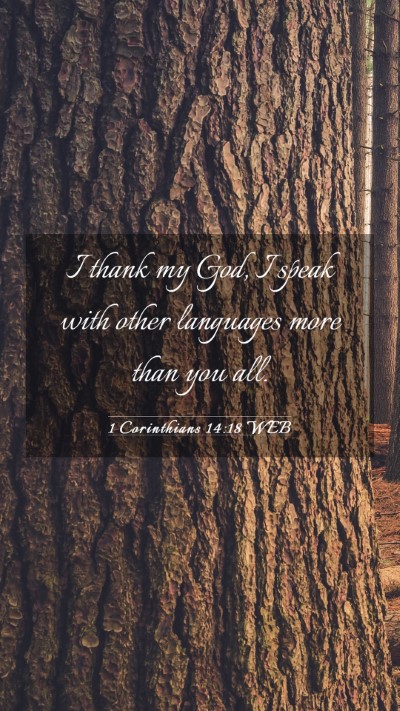 Picture 03 - 1 Corinthians 14:18 WEB Mobile Phone Wallpaper - I thank my God, I speak with other languages more - Mobile Bible Verse Wallpaper