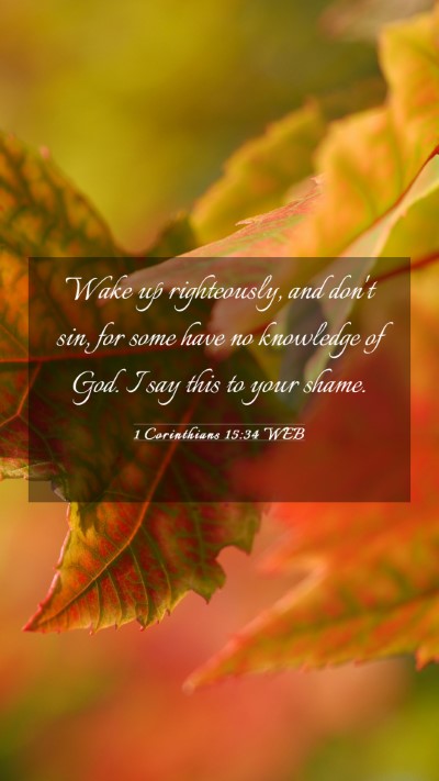 Picture 03 - 1 Corinthians 15:34 WEB Mobile Phone Wallpaper - Wake up righteously, and don't sin, for some have - Mobile Bible Verse Wallpaper