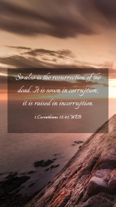 Picture 03 - 1 Corinthians 15:42 WEB Mobile Phone Wallpaper - So also is the resurrection of the dead. It is - Mobile Bible Verse Wallpaper