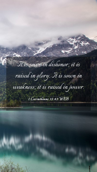 Picture 03 - 1 Corinthians 15:43 WEB Mobile Phone Wallpaper - It is sown in dishonor; it is raised in glory. It - Mobile Bible Verse Wallpaper