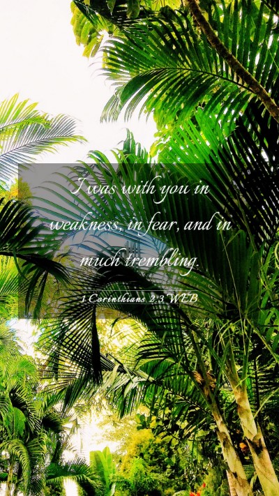 Picture 03 - 1 Corinthians 2:3 WEB Mobile Phone Wallpaper - I was with you in weakness, in fear, and in much - Mobile Bible Verse Wallpaper