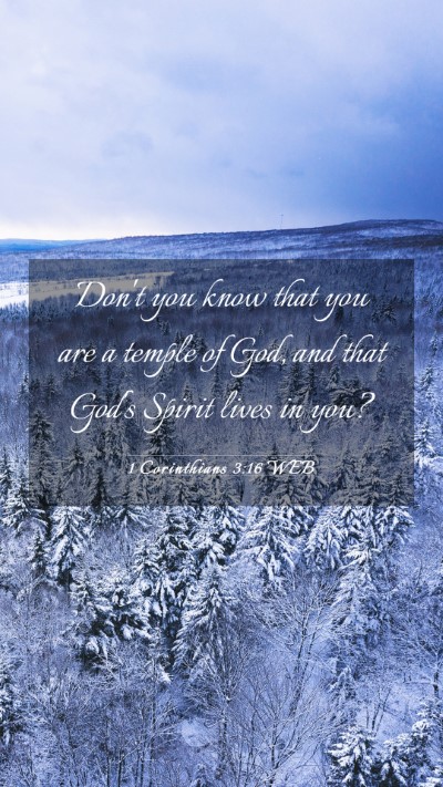 Picture 03 - 1 Corinthians 3:16 WEB Mobile Phone Wallpaper - Don't you know that you are a temple of God, and - Mobile Bible Verse Wallpaper