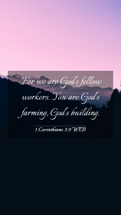 Picture 03 - 1 Corinthians 3:9 WEB Mobile Phone Wallpaper - For we are God's fellow workers. You are God's - Mobile Bible Verse Wallpaper