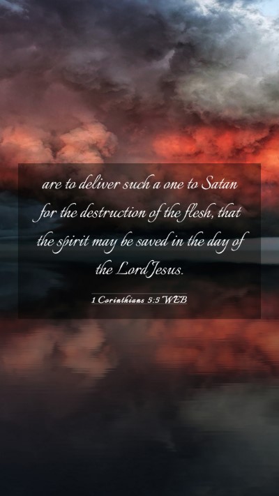 Picture 03 - 1 Corinthians 5:5 WEB Mobile Phone Wallpaper - are to deliver such a one to Satan for the - Mobile Bible Verse Wallpaper