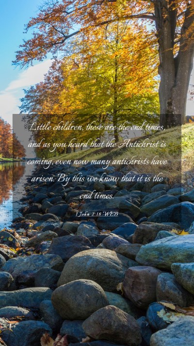 Picture 03 - 1 John 2:18 WEB Mobile Phone Wallpaper - Little children, these are the end times, and as - Mobile Bible Verse Wallpaper