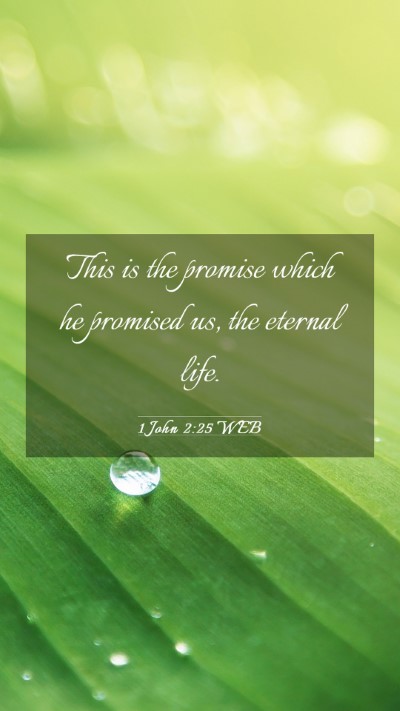 Picture 03 - 1 John 2:25 WEB Mobile Phone Wallpaper - This is the promise which he promised us, the - Mobile Bible Verse Wallpaper