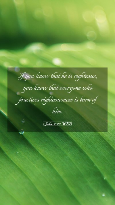 Picture 03 - 1 John 2:29 WEB Mobile Phone Wallpaper - If you know that he is righteous, you know that - Mobile Bible Verse Wallpaper