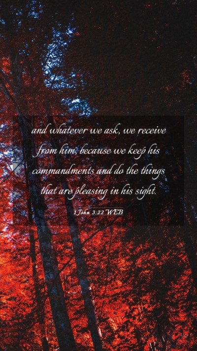 Picture 03 - 1 John 3:22 WEB Mobile Phone Wallpaper - and whatever we ask, we receive from him, because - Mobile Bible Verse Wallpaper