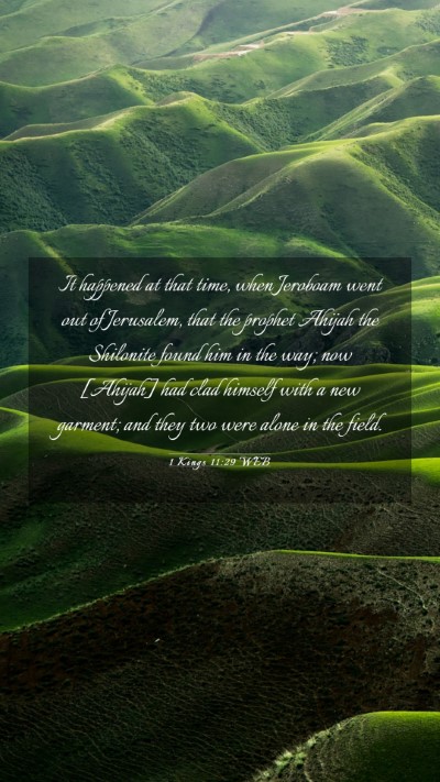 Picture 03 - 1 Kings 11:29 WEB Mobile Phone Wallpaper - It happened at that time, when Jeroboam went out - Mobile Bible Verse Wallpaper