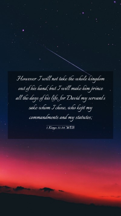 Picture 03 - 1 Kings 11:34 WEB Mobile Phone Wallpaper - However I will not take the whole kingdom out of - Mobile Bible Verse Wallpaper