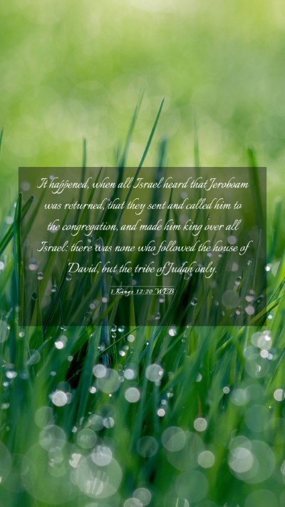 Picture 03 - 1 Kings 12:20 WEB Mobile Phone Wallpaper - It happened, when all Israel heard that Jeroboam - Mobile Bible Verse Wallpaper
