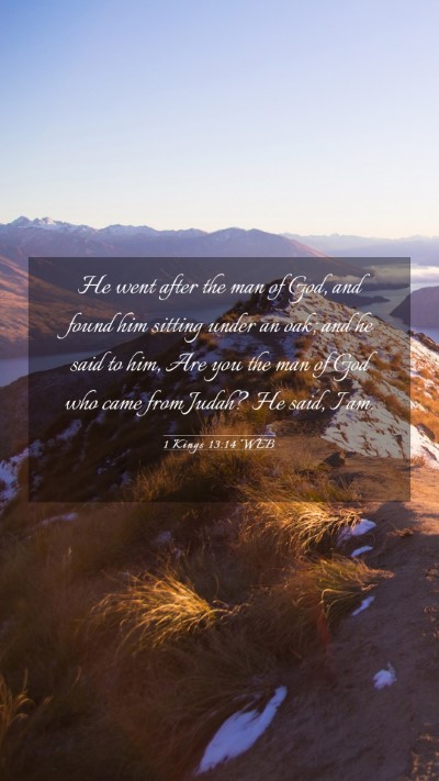 Picture 03 - 1 Kings 13:14 WEB Mobile Phone Wallpaper - He went after the man of God, and found him - Mobile Bible Verse Wallpaper