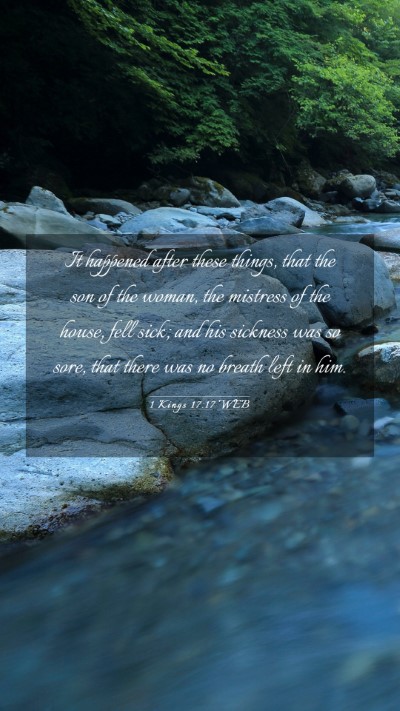 Picture 03 - 1 Kings 17:17 WEB Mobile Phone Wallpaper - It happened after these things, that the son of - Mobile Bible Verse Wallpaper