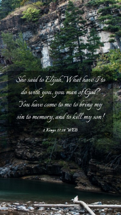 Picture 03 - 1 Kings 17:18 WEB Mobile Phone Wallpaper - She said to Elijah, What have I to do with you, - Mobile Bible Verse Wallpaper