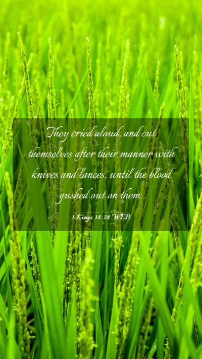Picture 03 - 1 Kings 18:28 WEB Mobile Phone Wallpaper - They cried aloud, and cut themselves after their - Mobile Bible Verse Wallpaper