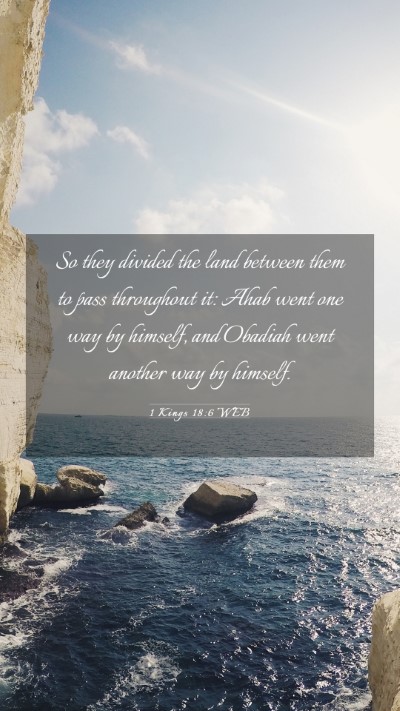 Picture 03 - 1 Kings 18:6 WEB Mobile Phone Wallpaper - So they divided the land between them to pass - Mobile Bible Verse Wallpaper