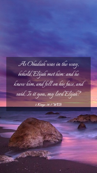 Picture 03 - 1 Kings 18:7 WEB Mobile Phone Wallpaper - As Obadiah was in the way, behold, Elijah met - Mobile Bible Verse Wallpaper